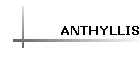 ANTHYLLIS